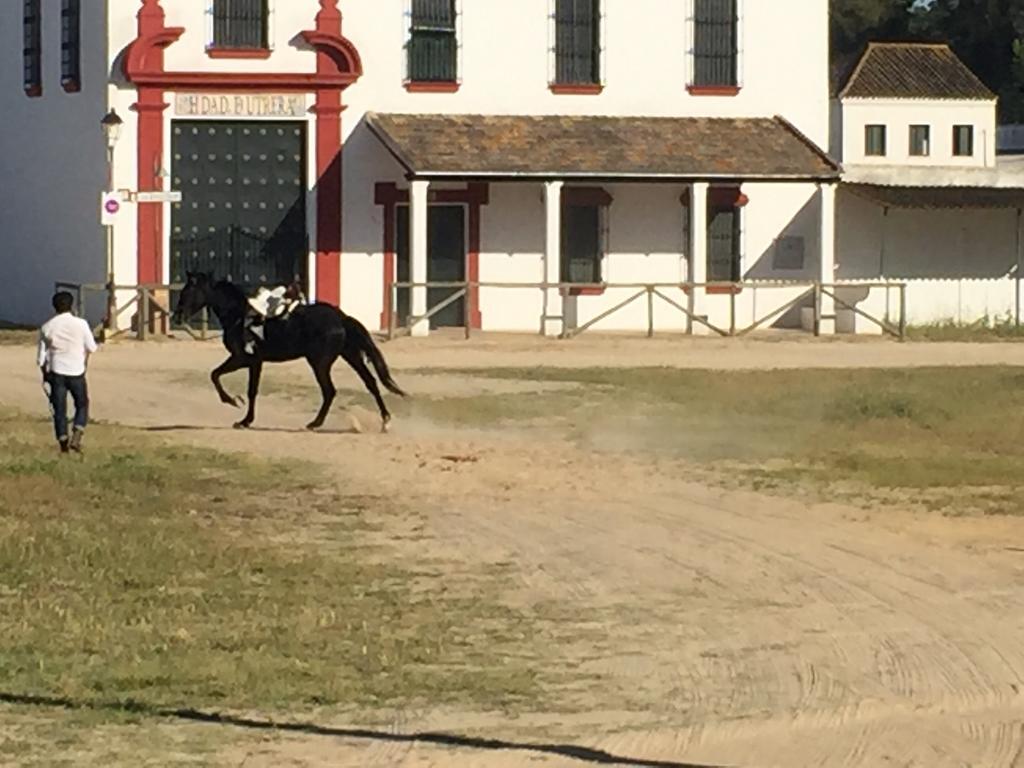 El Rocio Azul Alojamiento Rural ภายนอก รูปภาพ